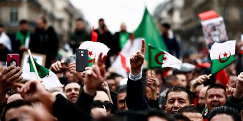 احتفالات في الجزائر بعد انسحاب بوتفليقة من الانتخابات فيديو