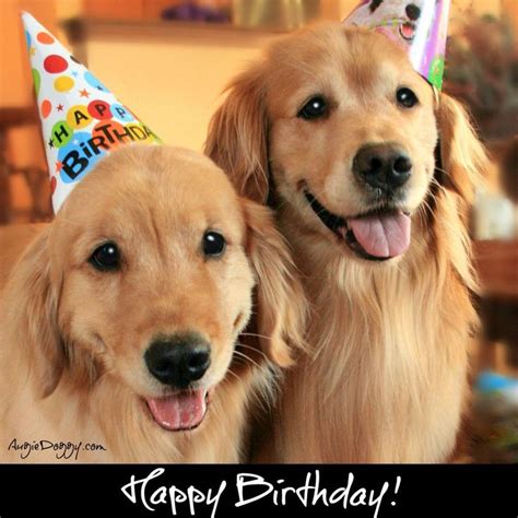 Pin By Heather Haddad On Days Months Years Happy Birthday Golden