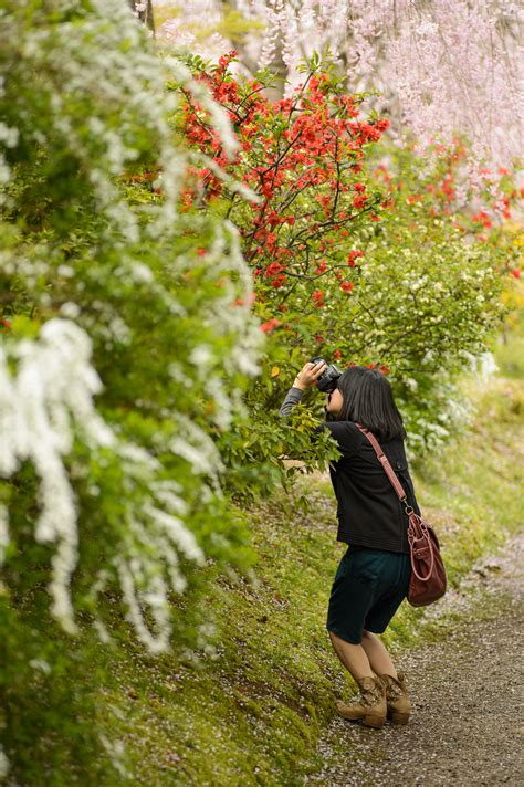 Jeffrey Friedls Blog Kyotos Amazing Haradanien Garden Part 3