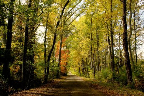 Beautiful Fall Foliage Drives Eguide Tyler Tx