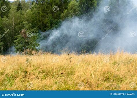 Dense Smoke Rising From The Wildfire Stock Image Image Of Dense