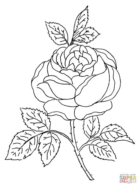 Desenho De Flor De Rosa Para Colorir Desenhos Para Colorir E Imprimir
