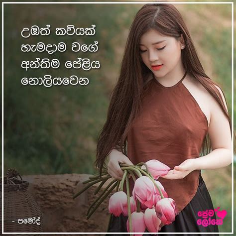 Sinhala Adara Wadan ආදර වදන් Photo Download App Movie Posters