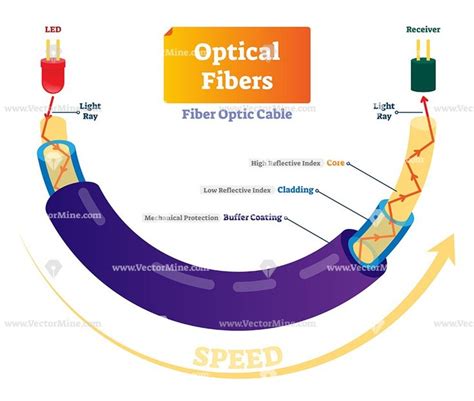 Optical Fibers Cross Section Labeled Diagram Fiber Optic Fiber Optic