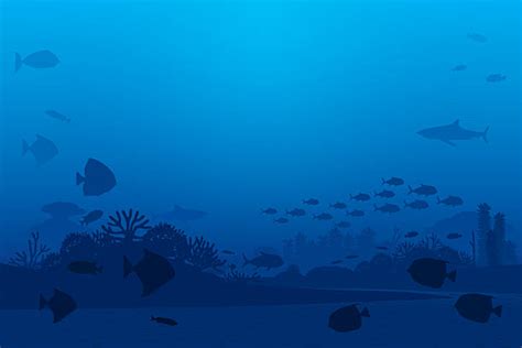 Royalty Free Ocean Floor Clip Art Vector Images And Illustrations Istock