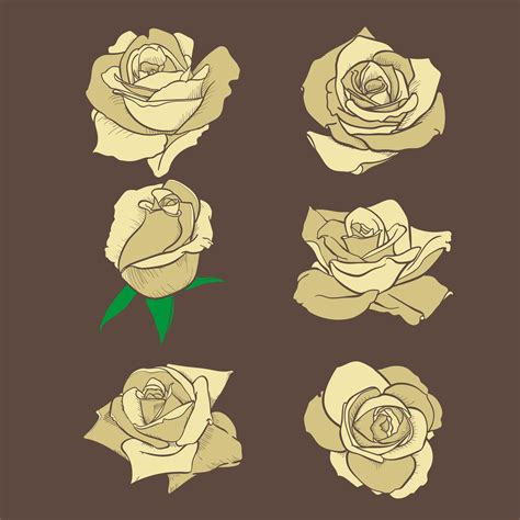 Flowers Roses Buds And Green Leaves Roses Set Collection Rose Icon
