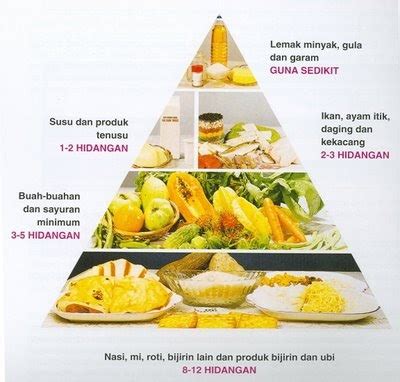 Secara sederhana, piramida makanan dapat diartikan sebagai pembagian populasi hewan dan tumbuhan atau ekosistem berdasarkan jumlahnya dalam bentuk piramida. Laman Informasi Prasekolah: Pemakanan Kanak-kanak