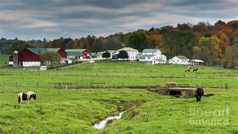 Amish Farm In Autumn Photograph By Randy Jacobs Fine Art America