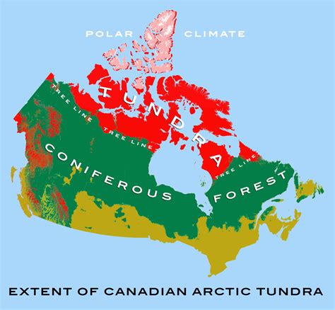 Map Of Canada For Grade 4 Canadian Arctic Tundra Wikipedia Secretmuseum