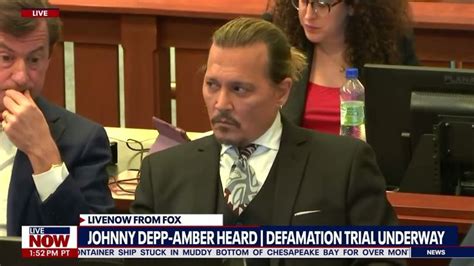 Johnny Depp Security Took Photos Because He Feared Amber Heard Would