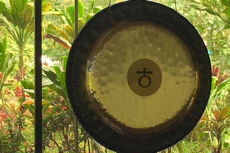 Gong Therapy Hawaii With Mehtab One Yoga Global