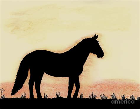 Twilight Horse Drawing By D Hackett Fine Art America