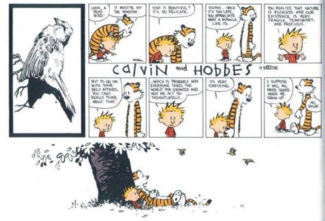 The Absolutely Best Calvin And Hobbes Comics Ever By Abhishek Joshi