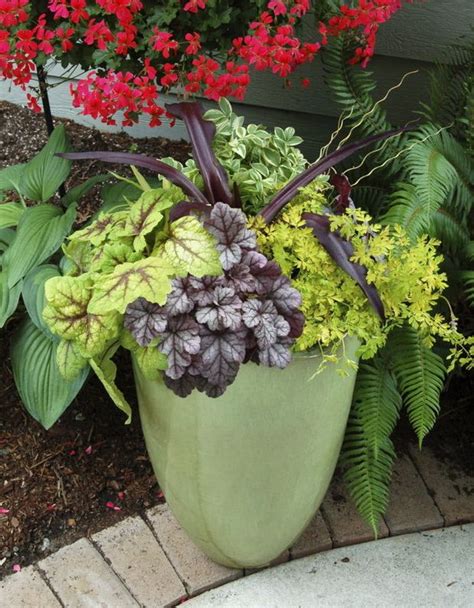 Winter Gardening Perennials In Containers Need Protection