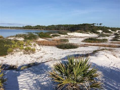 Photos Of Grayton Beach Nature Trail Florida Alltrails