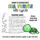 Sea Turtle Life Cycle Fun Science Activities By Aimee S Edventures Llc