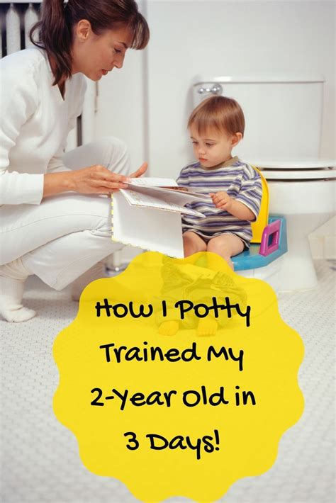 How I Potty Trained My 2 Year Old In 3 Days Potty Training Tips