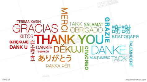 Thank You In Different Languages 動畫素材 1744839