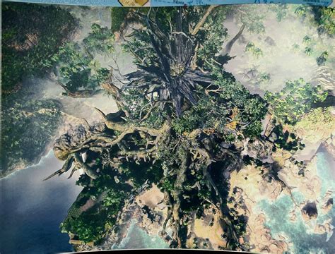 Ancient Forest High Angle Shot This Map Is One Giant Tree Even After