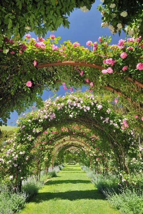 Foto Preciosa Decoración De Jardines Beautiful Gardens Dream Garden