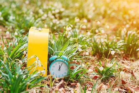 Early Spring Weather Alarm Clock Over Spring Flowers Background Stock