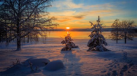 Wallpaper Arvika Sweden Winter Snow Trees Sunset