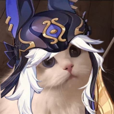 Cymeow Genshin Cyno Cat Pfp Profile Picture Matching Profile Pictures Cute Icons