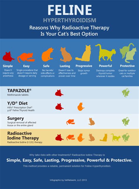 Check your cat to ensure that fluid injections are being adequately absorbed. Feline Hyperthyroid Treatment Options | Treating Cat ...