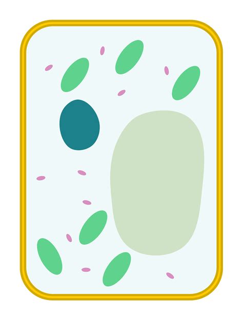 Cell Clipart Basic Cell Basic Transparent Free For Download On