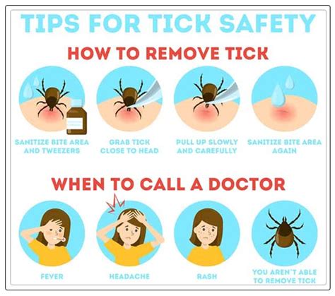 Tick Bites Symptoms And Treatment Dentist Ahmed Official Website
