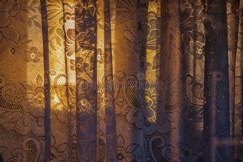 Floral Lace Curtains Background Texture Stock Image Image Of White