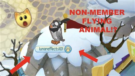 How To Be A Non Member Member Animal Working 2020 Animal Jam Youtube