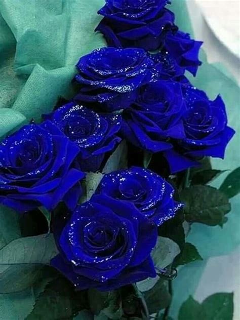 Beautiful Blue Roses Beautiful Flowers Wallpapers Beautiful Rose