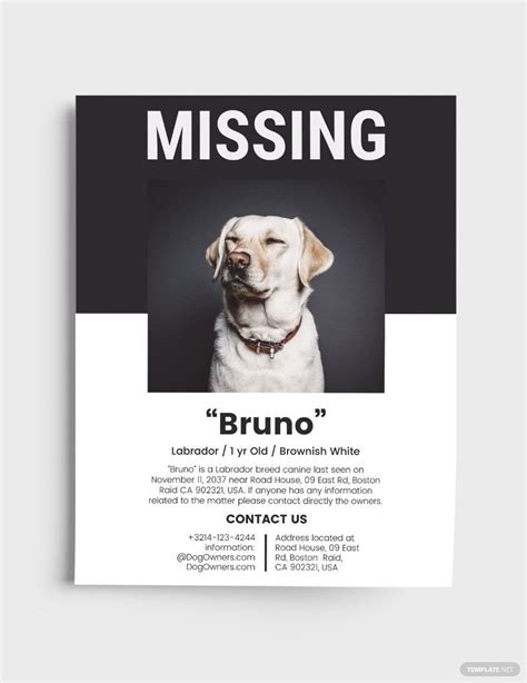 Dog Lost Flyer Template In Word Illustrator Psd Indesign Publisher