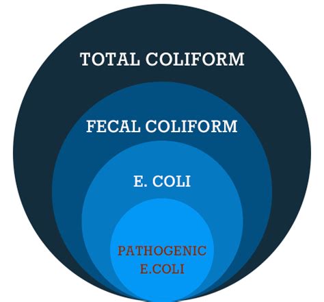 coliform bacteria an indicator of water contamination plantlet