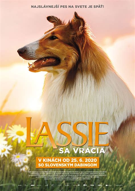 Plakaty Lassie Wróć 2020 Filmweb