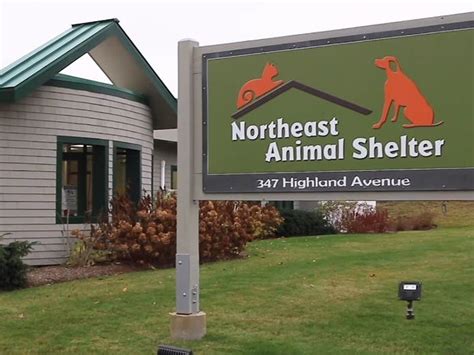 Northeast Animal Shelter Joins Forces With Mspca Angell Salem Ma Patch