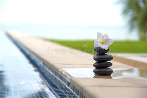 Tranquility Scene Of Peaceful Life Stock Image Image Of Meditation