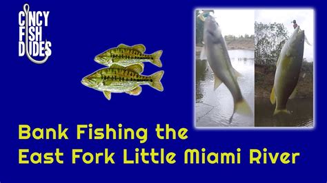 Bank Fishing The East Fork Little Miami River Youtube