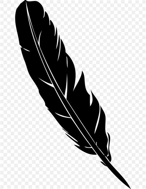 Feather Pen Quill Euclidean Vector Png 650x1062px Feather Black And