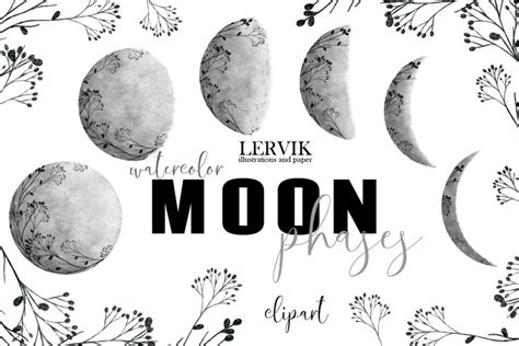 Moon Phases Svg File