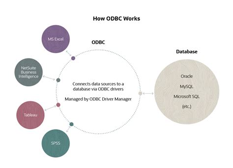 Open Database Connectivity What Is Odbc Netsuite