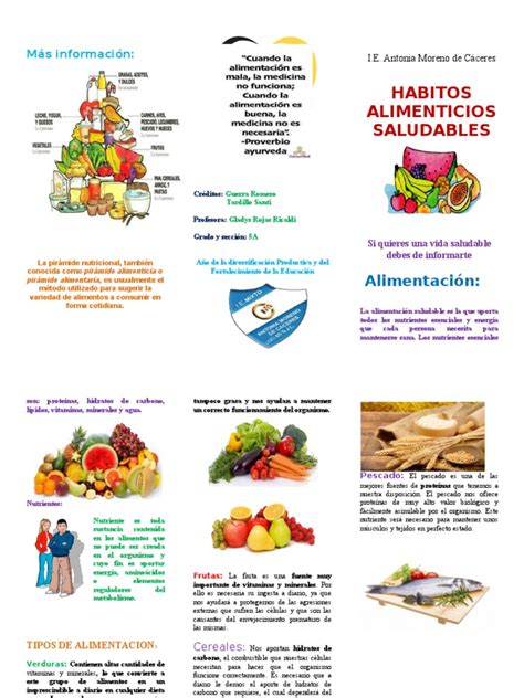 Triptico Habitos Alimenticios Nutrientes Alimentos Prueba