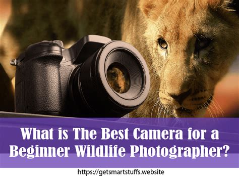 Best Beginner Camera For Wildlife Photography Do You Enjoy