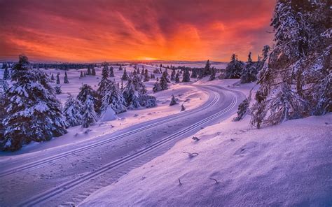 Nature Landscape Sunrise Norway Forest Road Snow Sky Trees