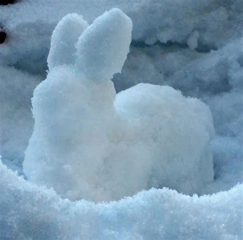 Rabbit Ramblings Bunny Things Snow Bunnies Bunny Snow