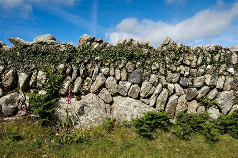 30000 Miles Of Historic Cornish Hedges Are Under Threat Cornwall Live