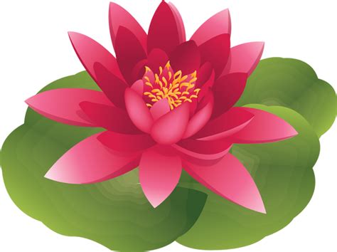 Lily Pad Png Png Image Collection
