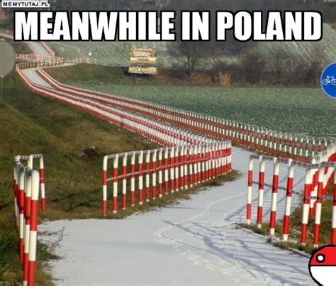 The 50 Funniest Meanwhile In Poland Memes