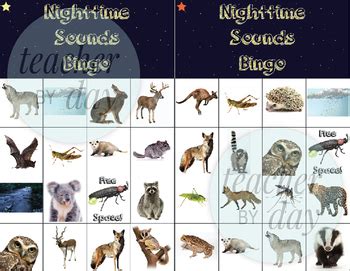How can i figure out what kind of animal the noise is coming from? Nighttime Sound/Nocturnal Animals Bingo by TeacherByDay1 | TpT